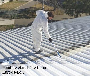 peinture-etancheite-toiture