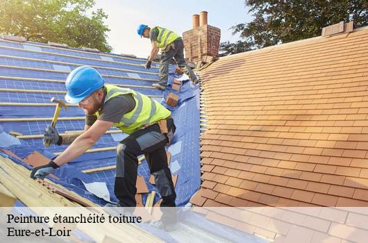 peinture-etancheite-toiture