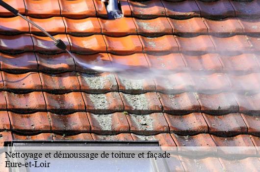 nettoyage-et-demoussage-de-toiture-et-facade