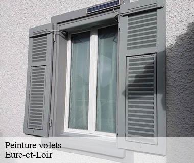 peinture-volets