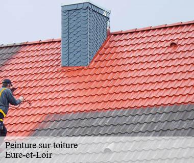 peinture-sur-toiture