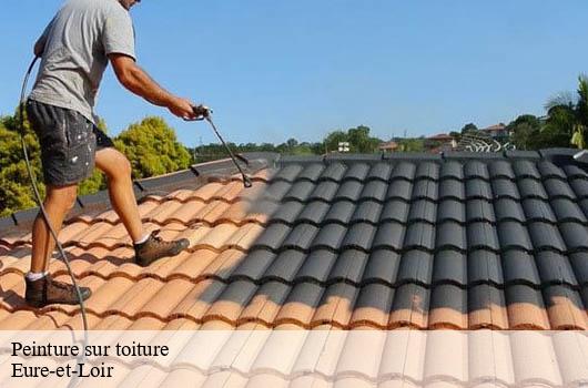 peinture-sur-toiture