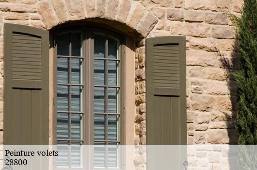peinture-volets