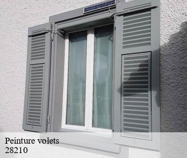 peinture-volets