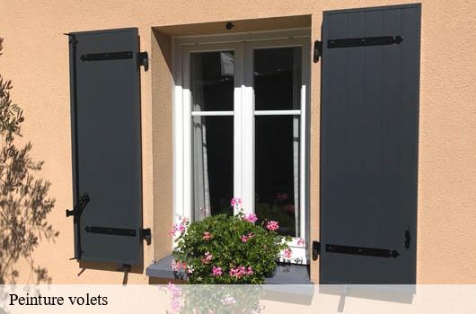 peinture-volets
