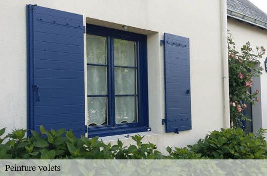 peinture-volets