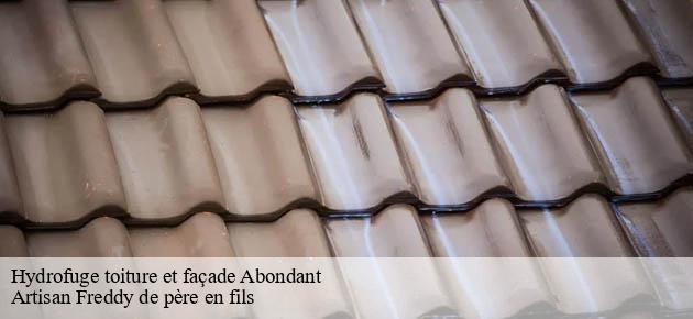 hydrofuge-toiture-et-facade