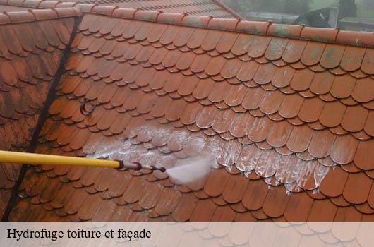 hydrofuge-toiture-et-facade