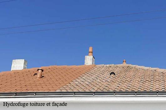 hydrofuge-toiture-et-facade