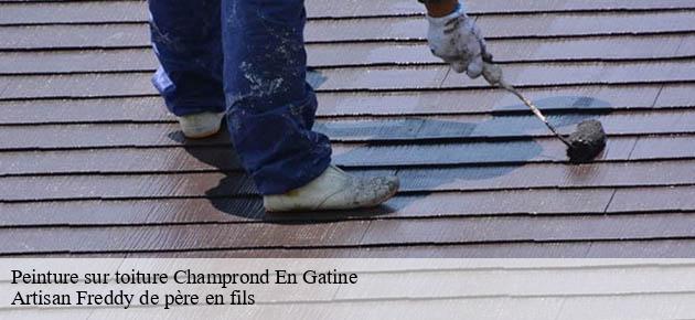 peinture-sur-toiture