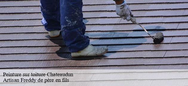 peinture-sur-toiture
