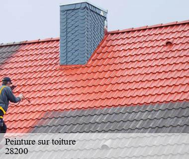 peinture-sur-toiture