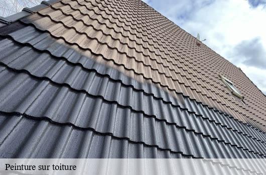 peinture-sur-toiture