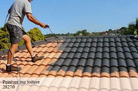 peinture-sur-toiture