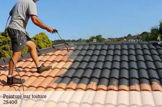 peinture-sur-toiture