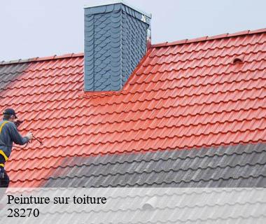 peinture-sur-toiture