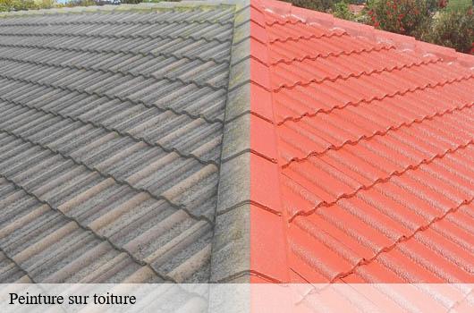 peinture-sur-toiture