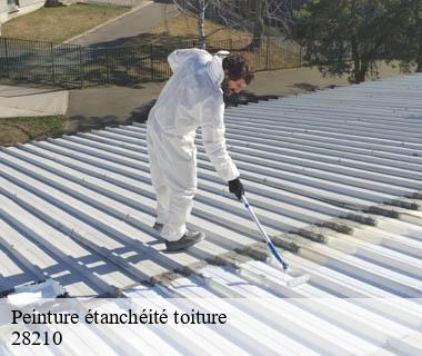 peinture-etancheite-toiture