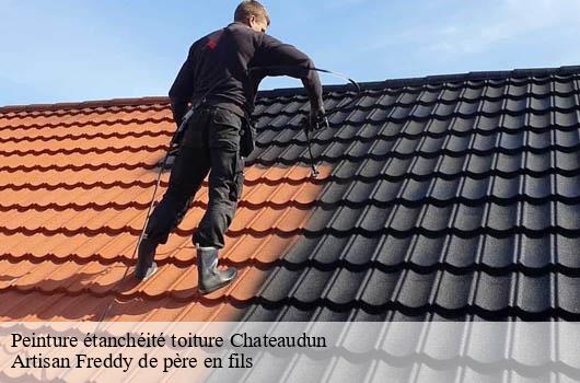 peinture-etancheite-toiture