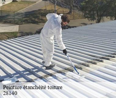 peinture-etancheite-toiture