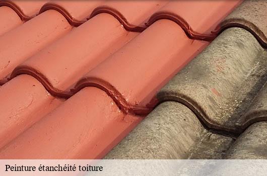 peinture-etancheite-toiture