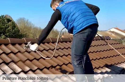 peinture-etancheite-toiture
