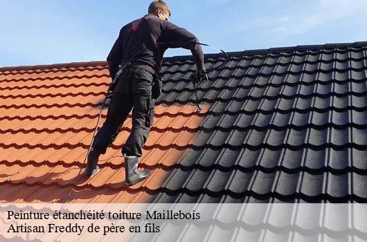 peinture-etancheite-toiture