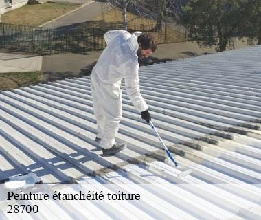 peinture-etancheite-toiture