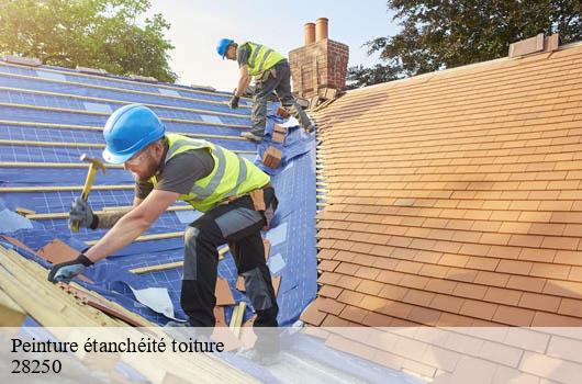 peinture-etancheite-toiture
