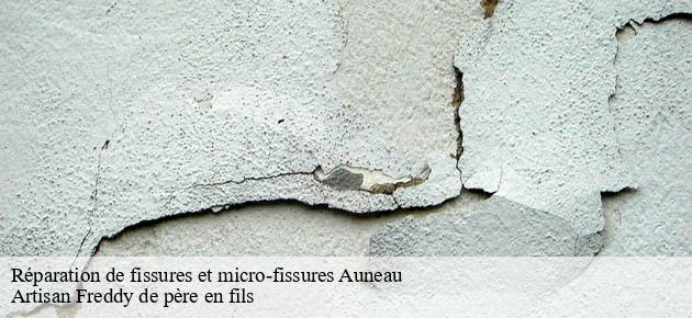 reparation-de-fissures-et-micro-fissures