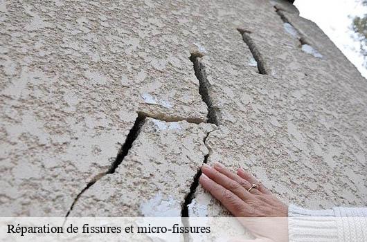 reparation-de-fissures-et-micro-fissures