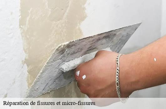 reparation-de-fissures-et-micro-fissures