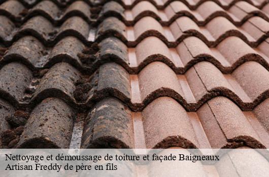 nettoyage-et-demoussage-de-toiture-et-facade