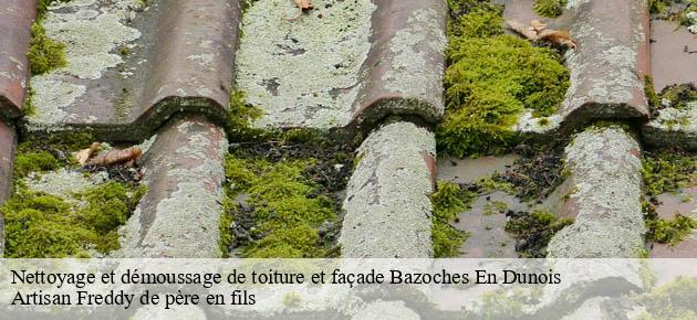 nettoyage-et-demoussage-de-toiture-et-facade