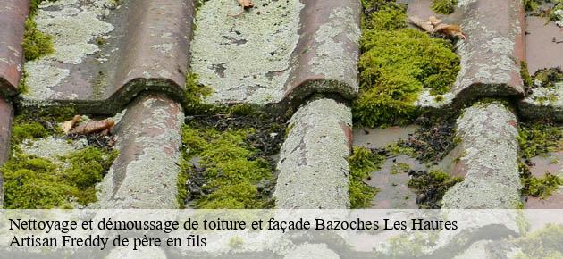 nettoyage-et-demoussage-de-toiture-et-facade