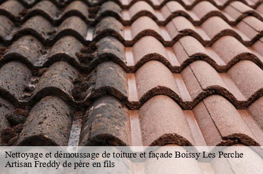 nettoyage-et-demoussage-de-toiture-et-facade