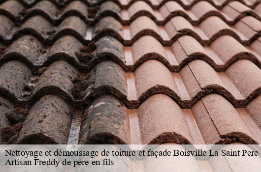 nettoyage-et-demoussage-de-toiture-et-facade