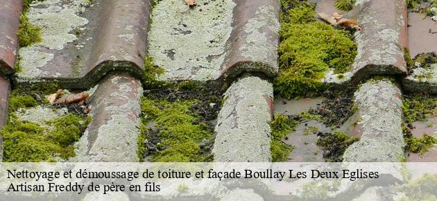nettoyage-et-demoussage-de-toiture-et-facade