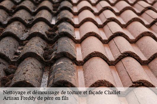 nettoyage-et-demoussage-de-toiture-et-facade