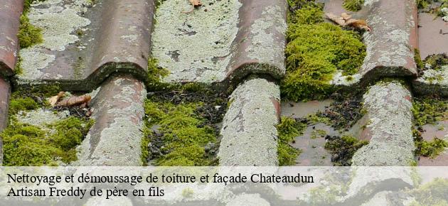 nettoyage-et-demoussage-de-toiture-et-facade
