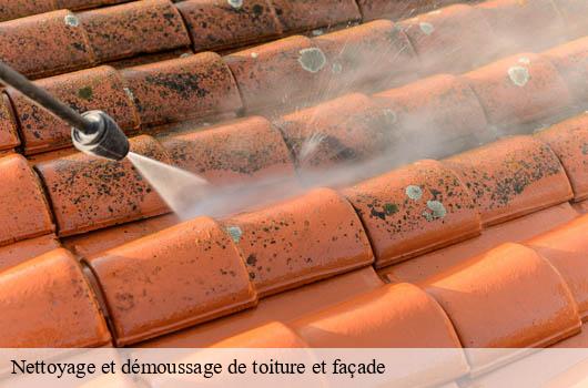 nettoyage-et-demoussage-de-toiture-et-facade