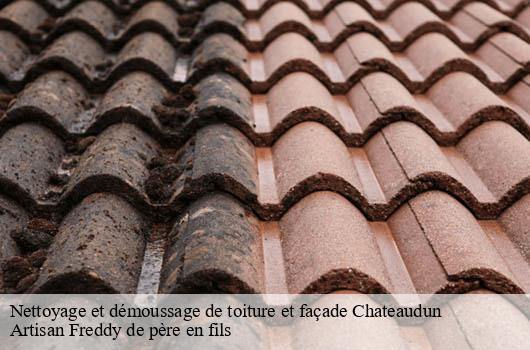 nettoyage-et-demoussage-de-toiture-et-facade