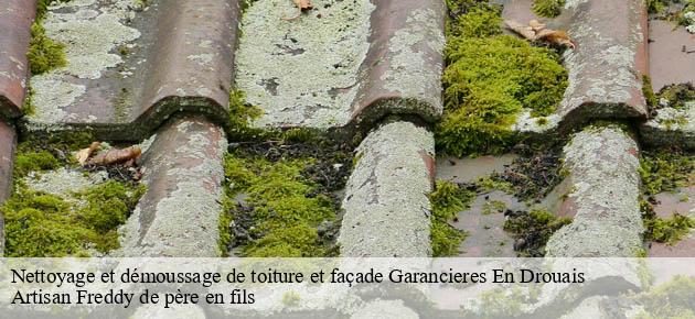 nettoyage-et-demoussage-de-toiture-et-facade