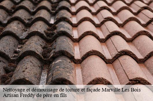 nettoyage-et-demoussage-de-toiture-et-facade