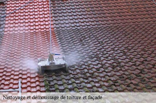 nettoyage-et-demoussage-de-toiture-et-facade